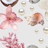 rashop_12