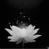 cho_ngay_tuyet_roi