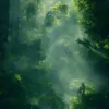 hieu.minh514