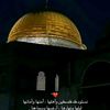 user25093509771730