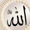 md.shanin19