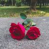 taslimaakter34837