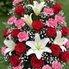 sweet.girl1697