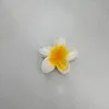 julia.emanuelle.r