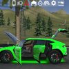 mickysenior5