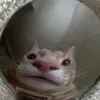 kevspenj