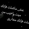 user160086748615