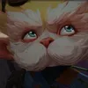 iluvcats257