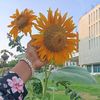 sadia.akther751