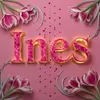 ins.assal