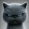 zeinab_sky