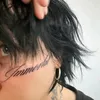 sentary3