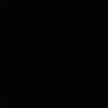 ne.n305
