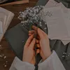 syc_ho29
