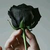 black.rose36993