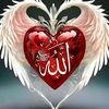 muhammad.waseem1527