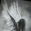 .trsri