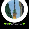 💚حُب الحبيب يجمعنا💚ﷺ💚
