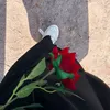 zaenb3221