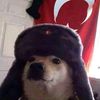 ebrarkim0