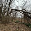 evanwitoutdoors