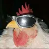 hoptefrenxh