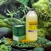bioregim.ro