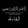 haiderhaider3186