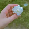 mahi_g_007