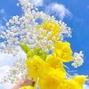 md.sohel.rana2457