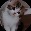 manoliya_h
