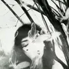 nooralshere43
