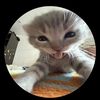 elissabest67cookimonster