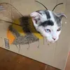 your1ittlesun