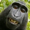 exhilarating_monkyy_rant