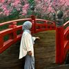 dhia_sazzy12