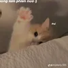 kimoanhhaybun
