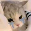huycuti271189