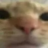 hsdotnhatlopa2