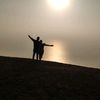lionking9.1
