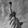 🗽NAVARSA NYC🗽