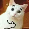 longuines4