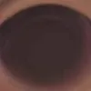 manhquan2655