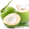 Kelapa Muda