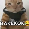 gakped0li