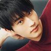 lone_wolfxjaguar
