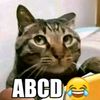 apcb_1.0