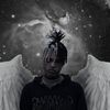 thegoatfr350