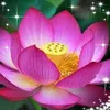 nhi.tran.thi83