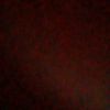 vialfi_13